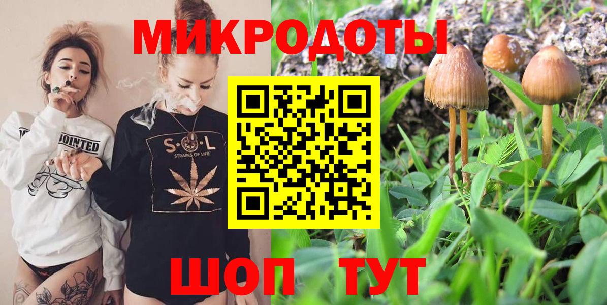 Псилоцибиновые грибы прущие грибы  где купить   Улан-Удэ  Псилоцибиновые грибы мухоморы  Вход с VPN 