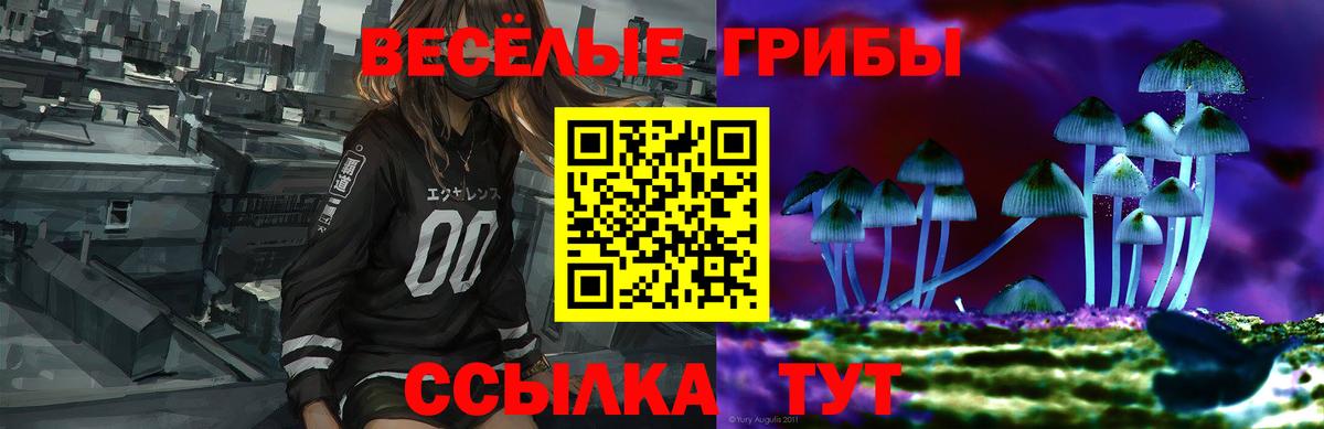 Псилоцибиновые грибы прущие грибы Улан-Удэ